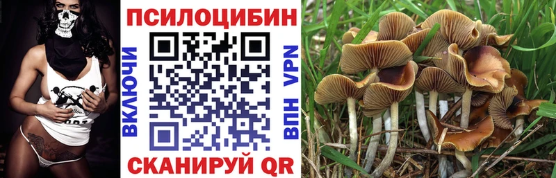 Галлюциногенные грибы MAGIC MUSHROOMS  KRAKEN онион  Райчихинск 